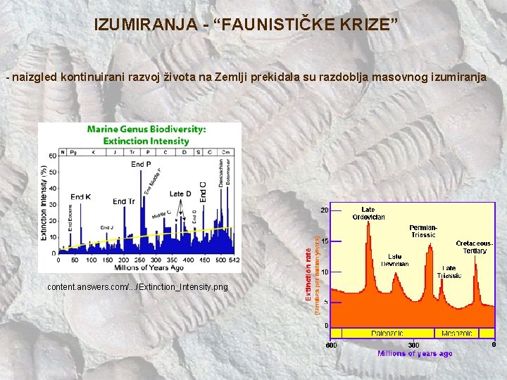 IZUMIRANJA - “FAUNISTIČKE KRIZE” - naizgled kontinuirani razvoj života na Zemlji prekidala su razdoblja