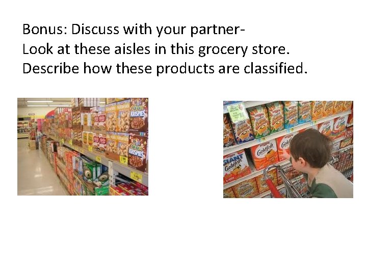 Bonus: Discuss with your partner. Look at these aisles in this grocery store. Describe