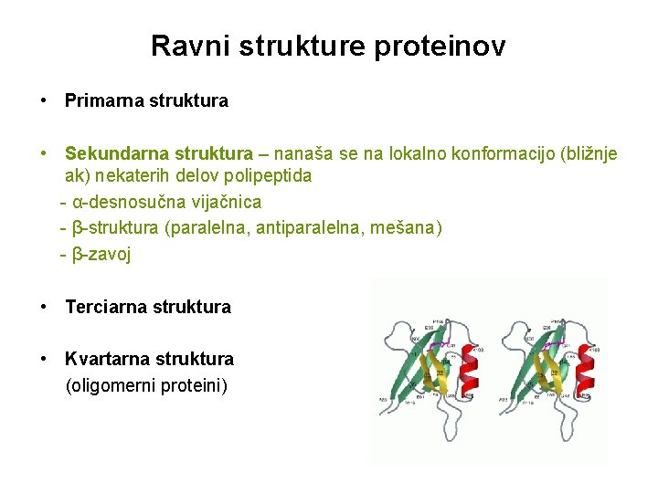 Ravni Strukture Proteinov Primarna Struktura Sekundarna Struktura Terciarna ravni-strukture-proteinov-primarna-struktura-sekundarna-struktura-terciarna