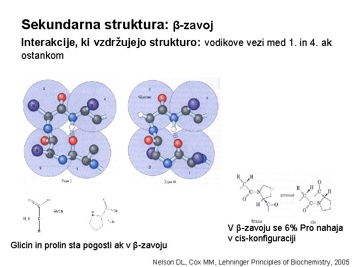 Sekundarna struktura: β-zavoj Interakcije, ki vzdržujejo strukturo: vodikove vezi med 1. in 4. ak