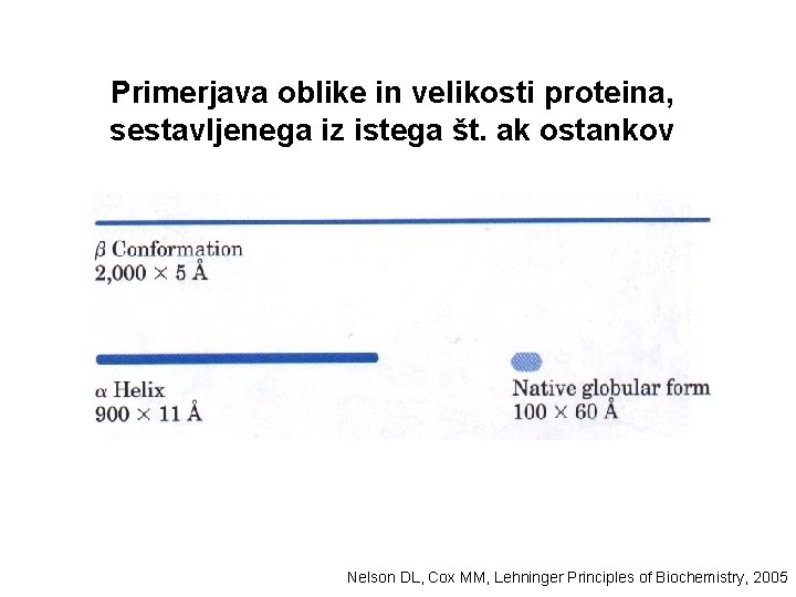 Primerjava oblike in velikosti proteina, sestavljenega iz istega št. ak ostankov Nelson DL, Cox