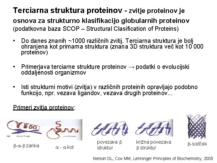 Terciarna struktura proteinov - zvitje proteinov je osnova za strukturno klasifikacijo globularnih proteinov (podatkovna Terciarna struktura proteinov - zvitje proteinov je osnova za strukturno klasifikacijo globularnih proteinov (podatkovna