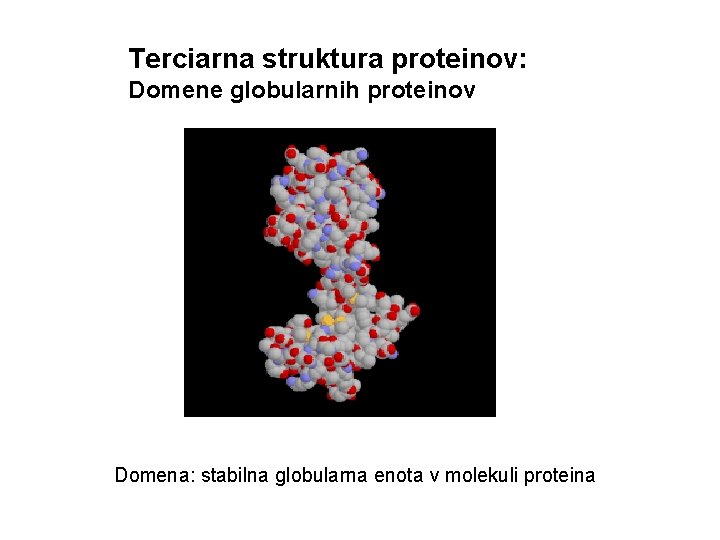 Terciarna struktura proteinov: Domene globularnih proteinov Domena: stabilna globularna enota v molekuli proteina 