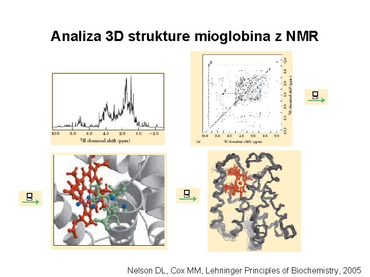 Analiza 3 D strukture mioglobina z NMR Nelson DL, Cox MM, Lehninger Principles of Analiza 3 D strukture mioglobina z NMR Nelson DL, Cox MM, Lehninger Principles of