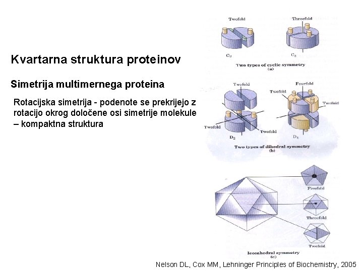 Kvartarna struktura proteinov Simetrija multimernega proteina Rotacijska simetrija - podenote se prekrijejo z rotacijo