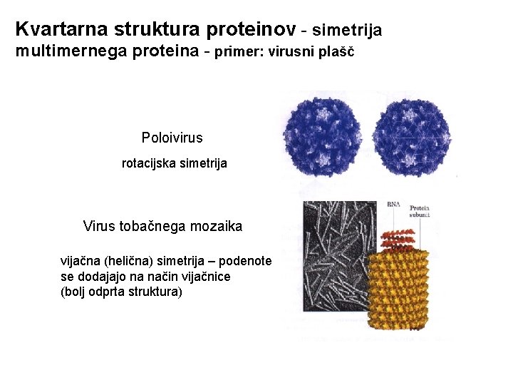 Kvartarna struktura proteinov - simetrija multimernega proteina - primer: virusni plašč Poloivirus rotacijska simetrija