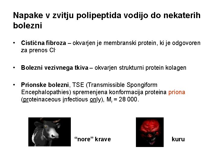 Napake v zvitju polipeptida vodijo do nekaterih bolezni • Cistična fibroza – okvarjen je Napake v zvitju polipeptida vodijo do nekaterih bolezni • Cistična fibroza – okvarjen je
