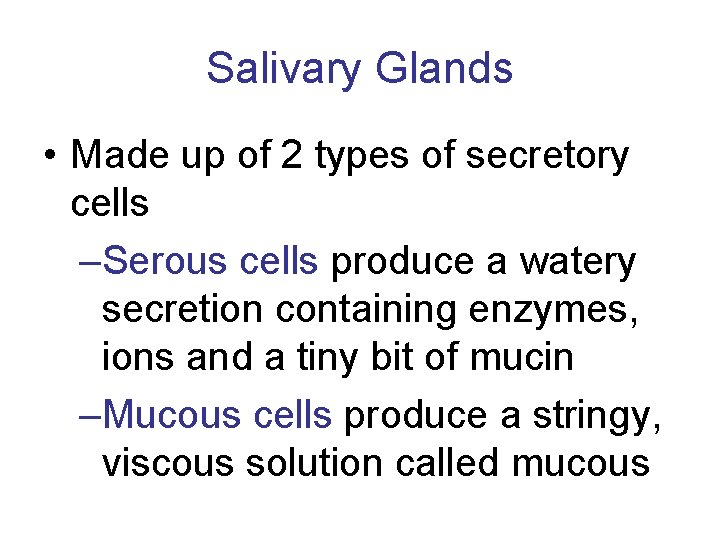 Salivary Glands • Made up of 2 types of secretory cells –Serous cells produce