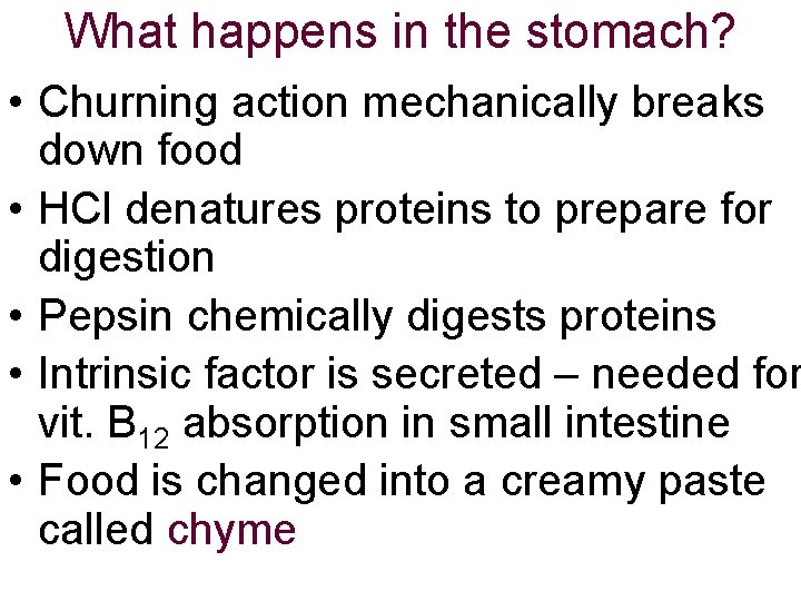 What happens in the stomach? • Churning action mechanically breaks down food • HCl