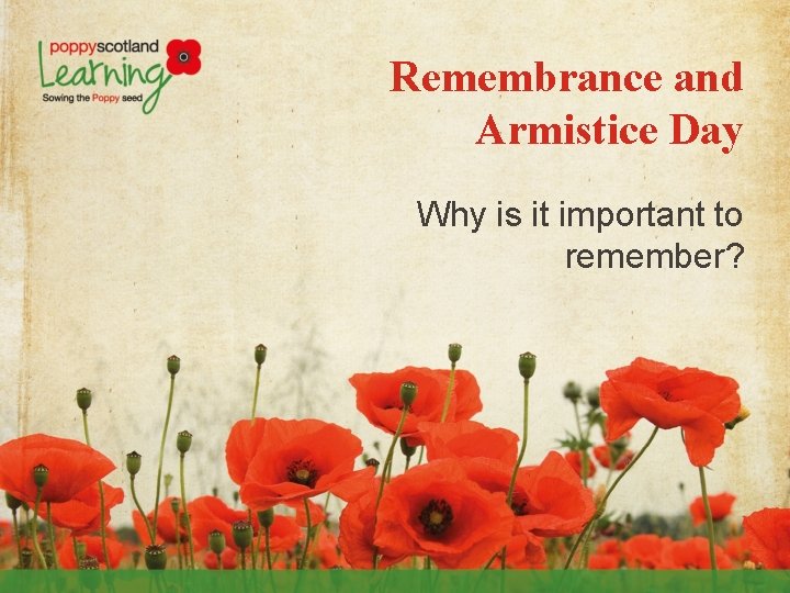 Remembrance and Armistice Day Why is it important to remember? 