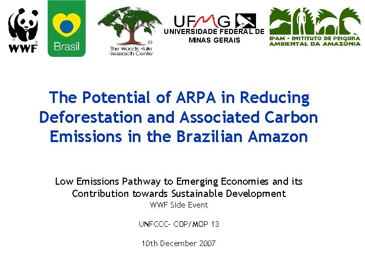 UNIVERSIDADE FEDERAL DE MINAS GERAIS The Potential of ARPA in Reducing Deforestation and Associated