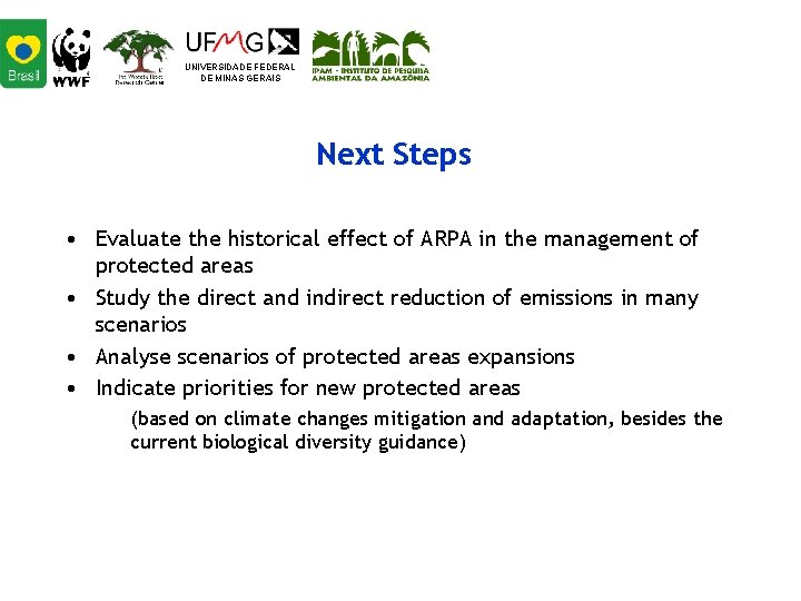 UNIVERSIDADE FEDERAL DE MINAS GERAIS Next Steps • Evaluate the historical effect of ARPA