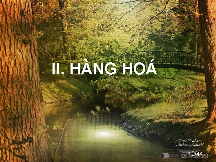 II. HÀNG HOÁ 10/44 