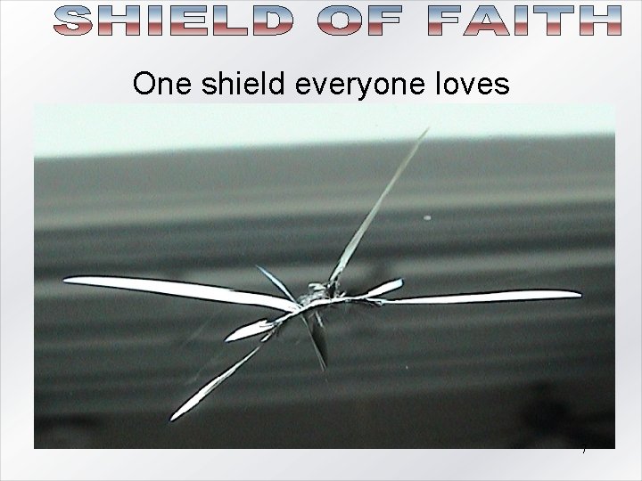 One shield everyone loves 7 