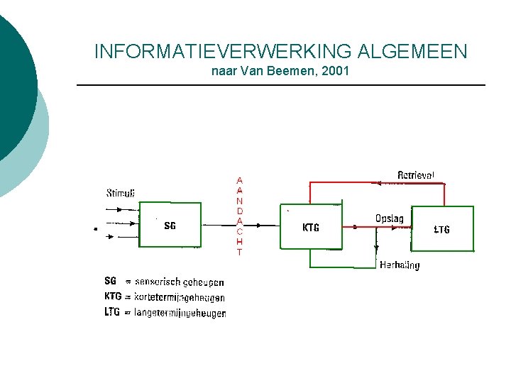 INFORMATIEVERWERKING ALGEMEEN naar Van Beemen, 2001 INFORMATIEVERWERKING ALGEMEEN naar Van Beemen, 2001