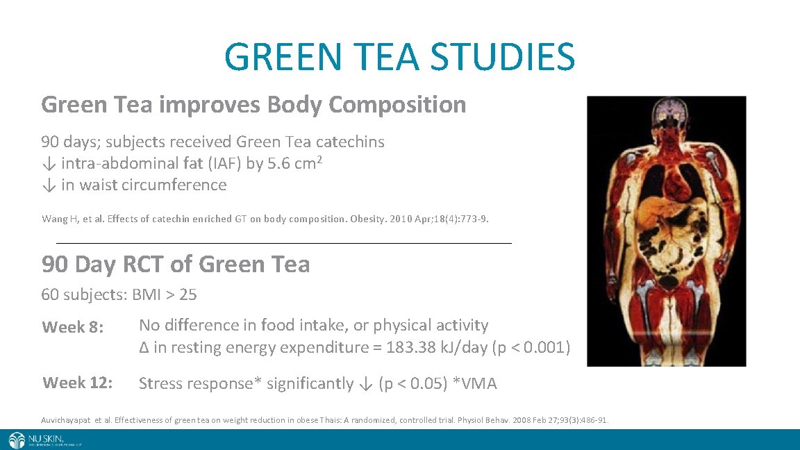 GREEN TEA STUDIES Green Tea improves Body Composition 90 days; subjects received Green Tea