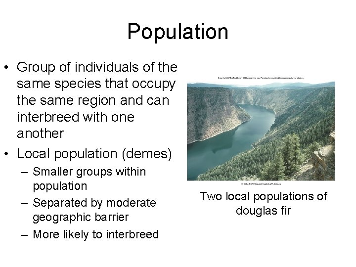 Population • Group of individuals of the same species that occupy the same region
