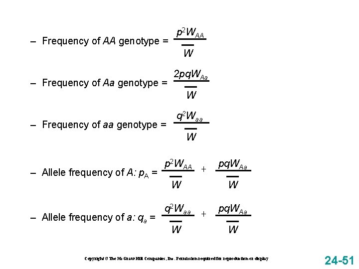 – Frequency of AA genotype = p 2 WAA W – Frequency of Aa