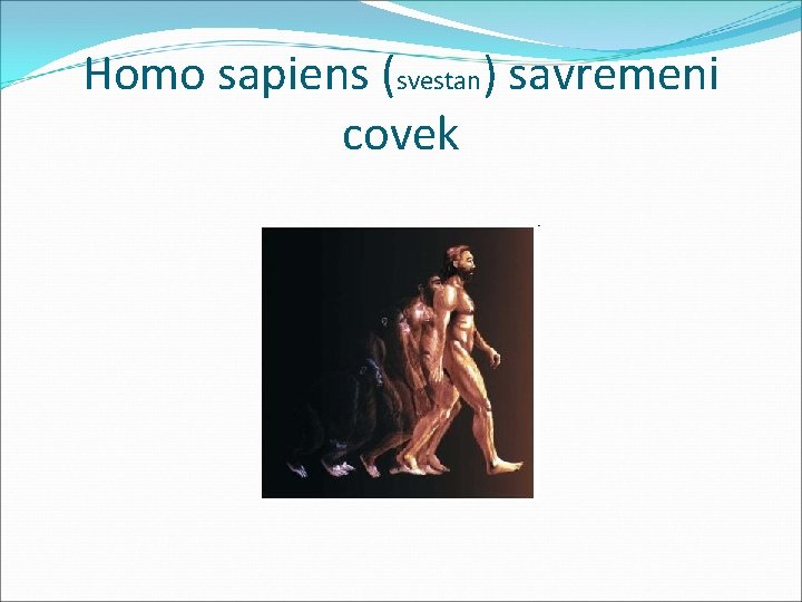Homo sapiens (svestan) savremeni covek 