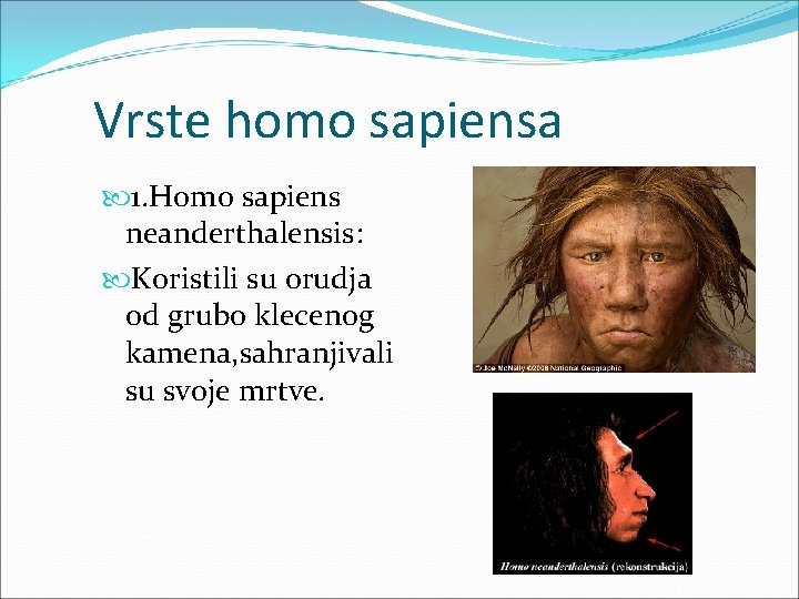 Vrste homo sapiensa 1. Homo sapiens neanderthalensis: Koristili su orudja od grubo klecenog kamena,