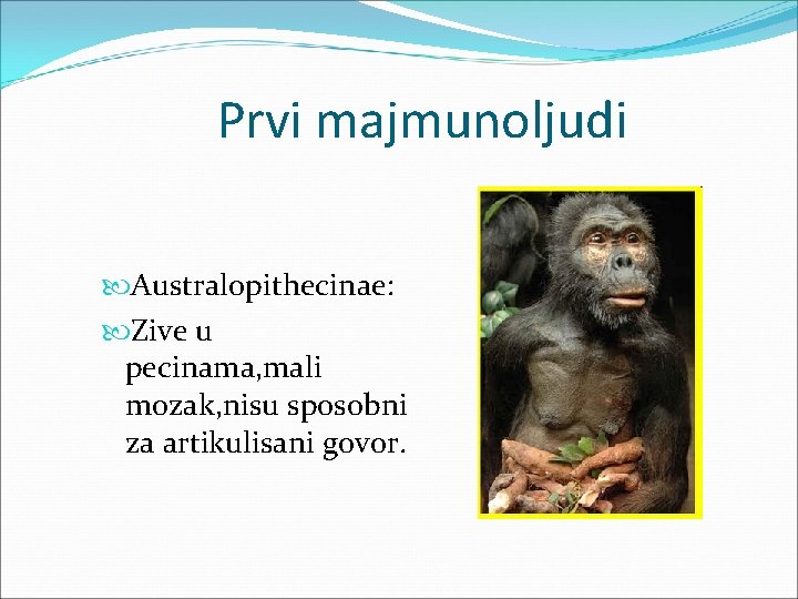 Prvi majmunoljudi Australopithecinae: Zive u pecinama, mali mozak, nisu sposobni za artikulisani govor. 