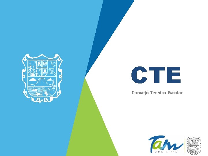 CTE Consejo Técnico Escolar 