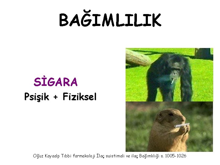 BAĞIMLILIK SİGARA Psişik + Fiziksel Oğuz Kayaalp Tıbbi farmakoloji İlaç suistimali ve ilaç Bağımlılığı