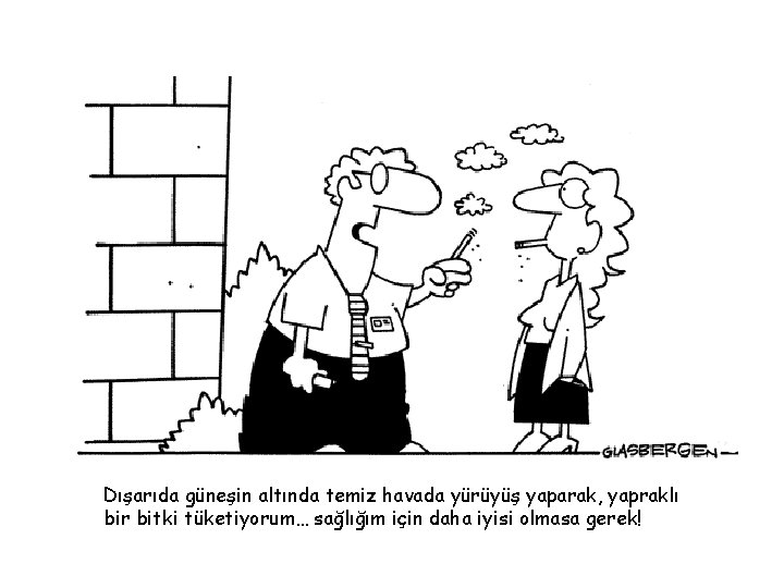 Dışarıda güneşin altında temiz havada yürüyüş yaparak, yapraklı bir bitki tüketiyorum… sağlığım için daha
