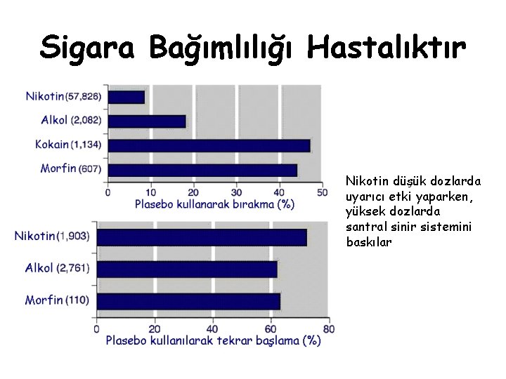 Sigara Bağımlılığı Hastalıktır Nikotin düşük dozlarda uyarıcı etki yaparken, yüksek dozlarda santral sinir sistemini