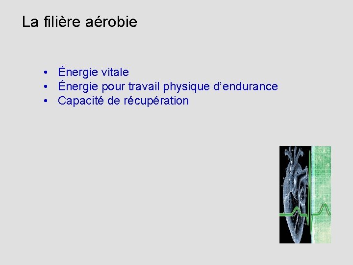 La filière aérobie • Énergie vitale • Énergie pour travail physique d’endurance • Capacité