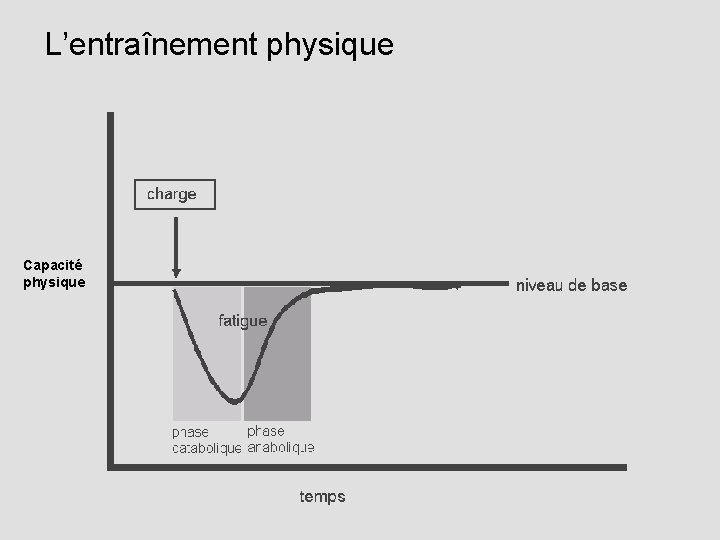 L’entraînement physique Capacité physique 