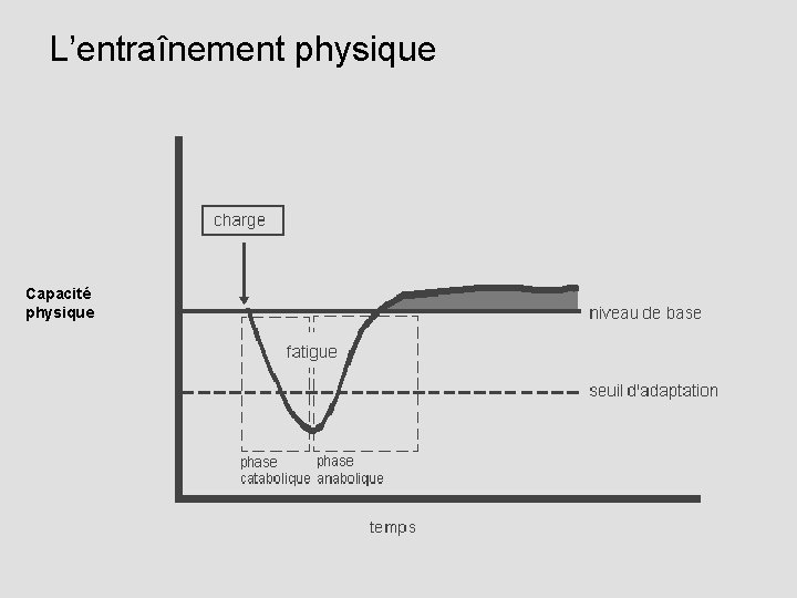 L’entraînement physique Capacité physique 