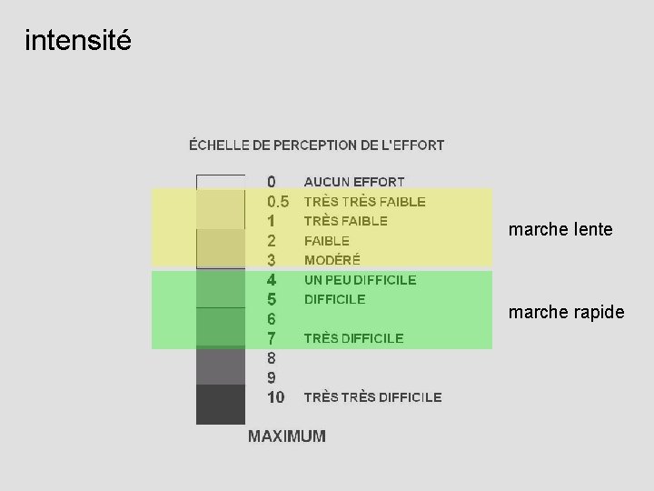 intensité marche lente marche rapide 