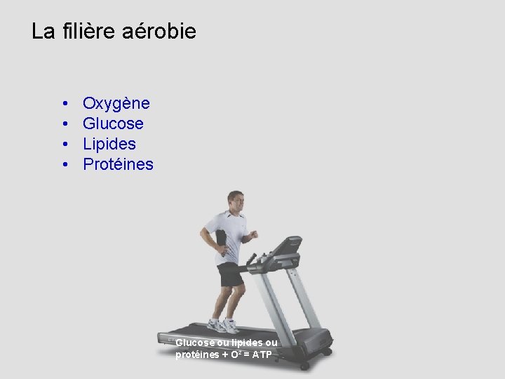 La filière aérobie • • Oxygène Glucose Lipides Protéines Glucose ou lipides ou protéines