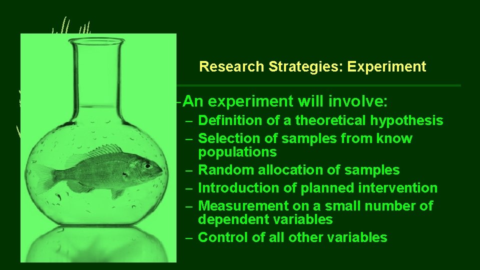 Research Strategies: Experiment – An experiment will involve: – Definition of a theoretical hypothesis