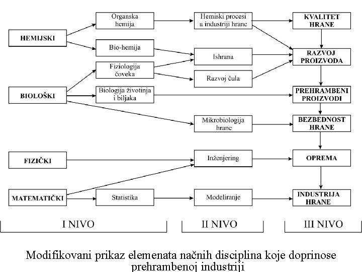 Modifikovani prikaz elemenata načnih disciplina koje doprinose prehrambenoj industriji 