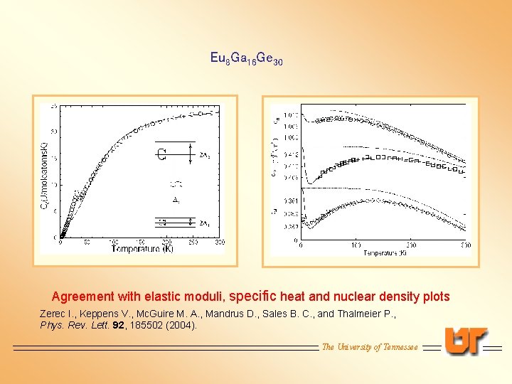 Eu 8 Ga 16 Ge 30 Agreement with elastic moduli, specific heat and nuclear