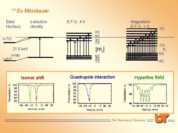 151 Eu Mössbauer Bare Nucleus s-electron density E. F. G. ≠ 0 Magnetism E.
