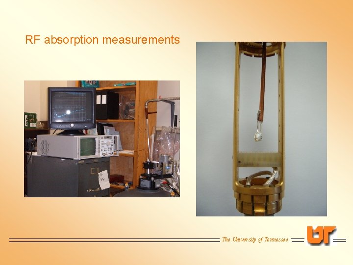 RF absorption measurements The University of Tennessee 