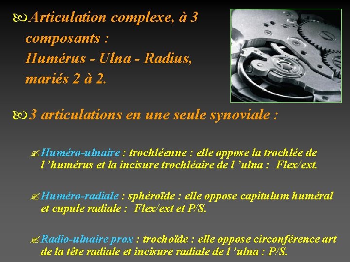  Articulation complexe, à 3 composants : Humérus - Ulna - Radius, mariés 2