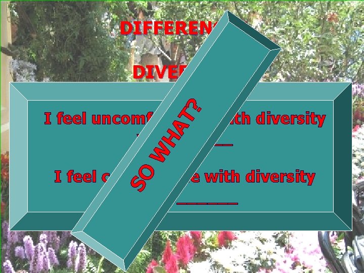 DIFFERENCES T? DIVERSITY W HA I feel uncomfortable with diversity when_____ SO I feel