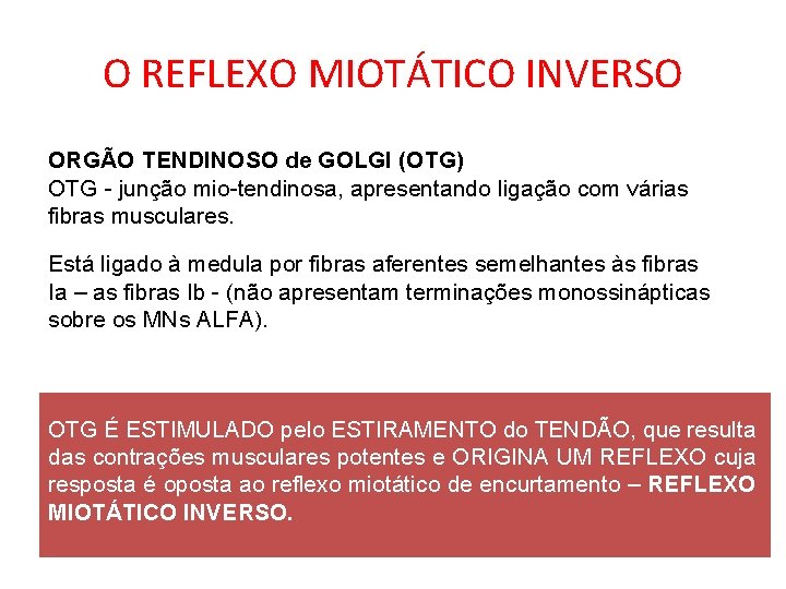 O REFLEXO MIOTÁTICO INVERSO ORGÃO TENDINOSO de GOLGI (OTG) OTG - junção mio-tendinosa, apresentando