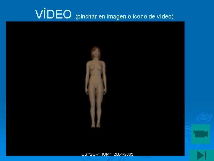 VÍDEO (pinchar en imagen o icono de vídeo) IES "SERITIUM". 2004 -2005 