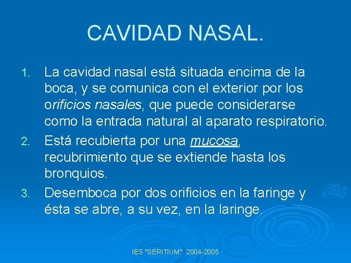 CAVIDAD NASAL. La cavidad nasal está situada encima de la boca, y se comunica