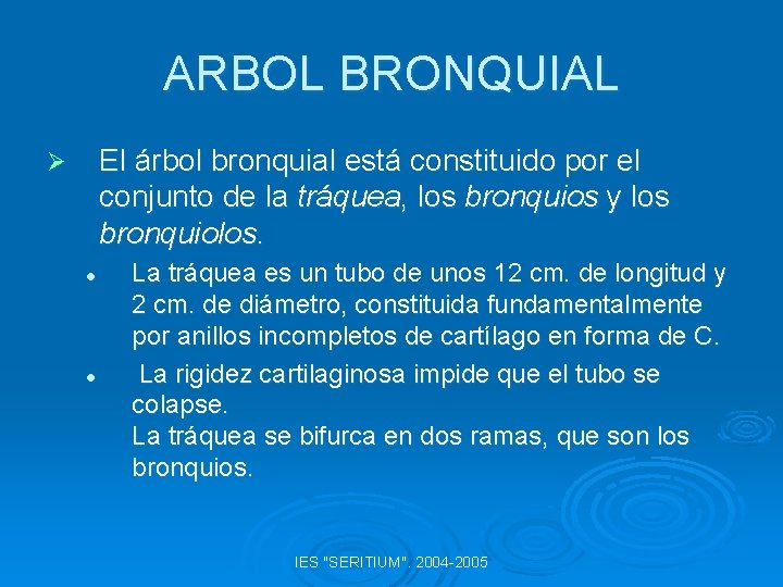 ARBOL BRONQUIAL El árbol bronquial está constituido por el conjunto de la tráquea, los