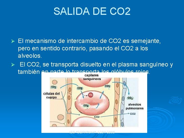 SALIDA DE CO 2 El mecanismo de intercambio de CO 2 es semejante, pero