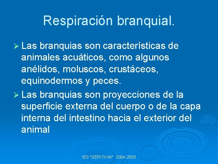 Respiración branquial. Ø Las branquias son características de animales acuáticos, como algunos anélidos, moluscos,