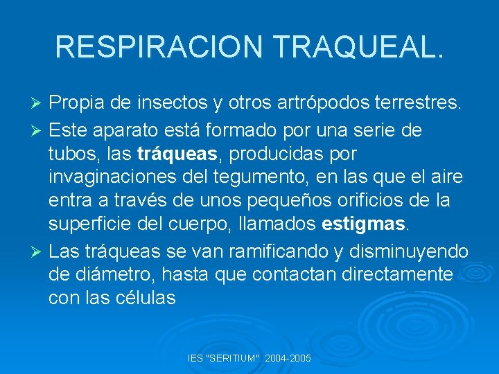 RESPIRACION TRAQUEAL. Propia de insectos y otros artrópodos terrestres. Ø Este aparato está formado