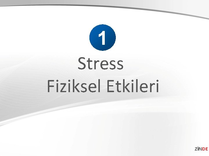 1 Stress Fiziksel Etkileri ZİNDE 