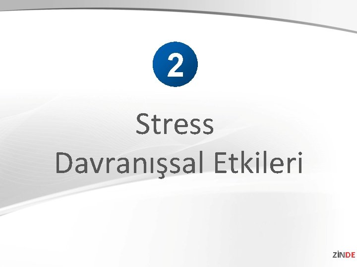 2 Stress Davranışsal Etkileri ZİNDE 
